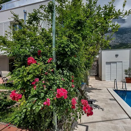 Daire Mediteraneo Makarska